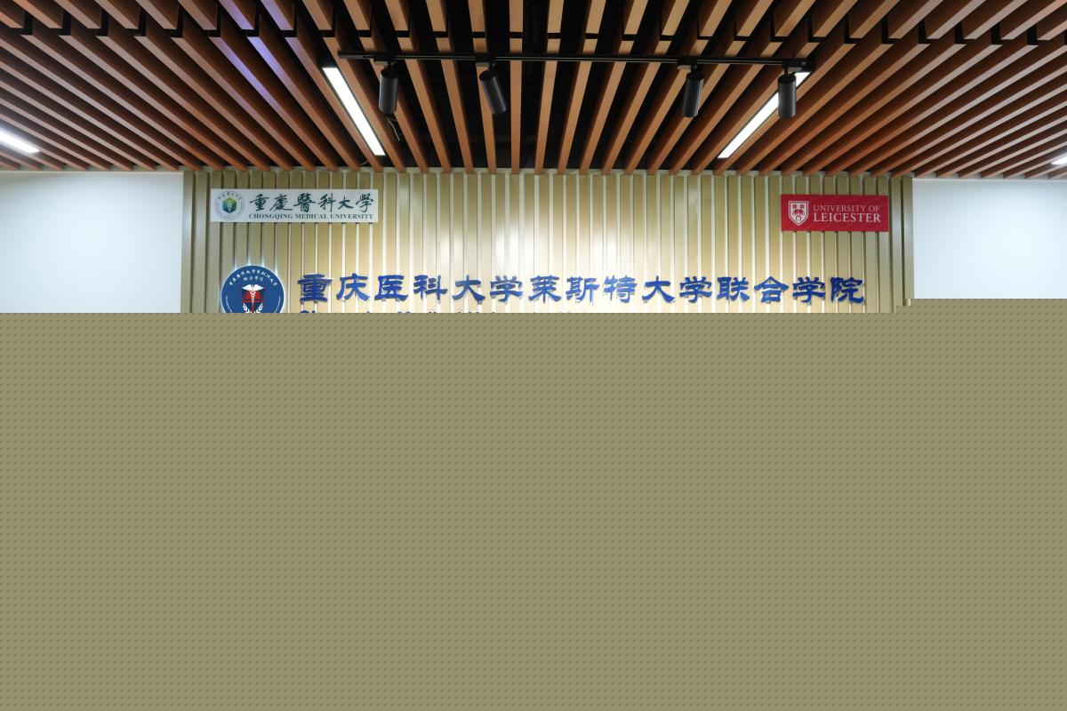 合照